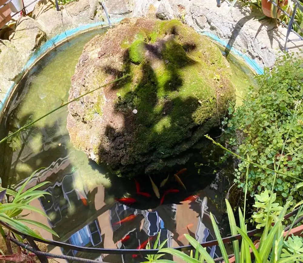 Foto - Sweet Dream Roma Termini