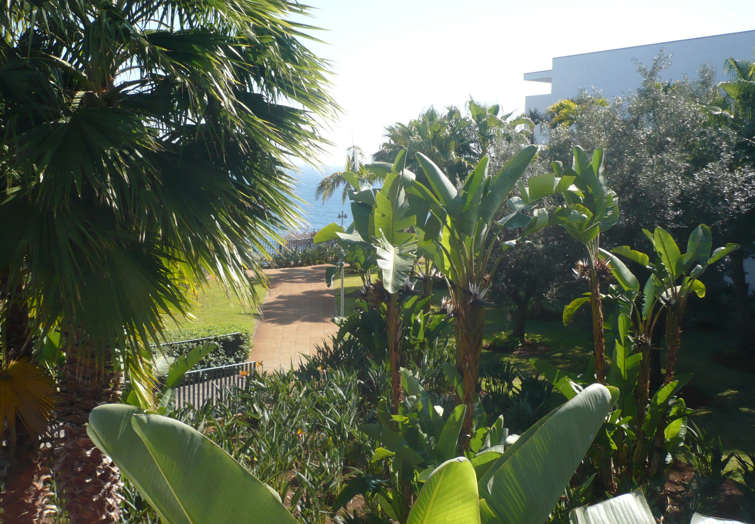 Photo - VidaMar Resort Hotel Madeira