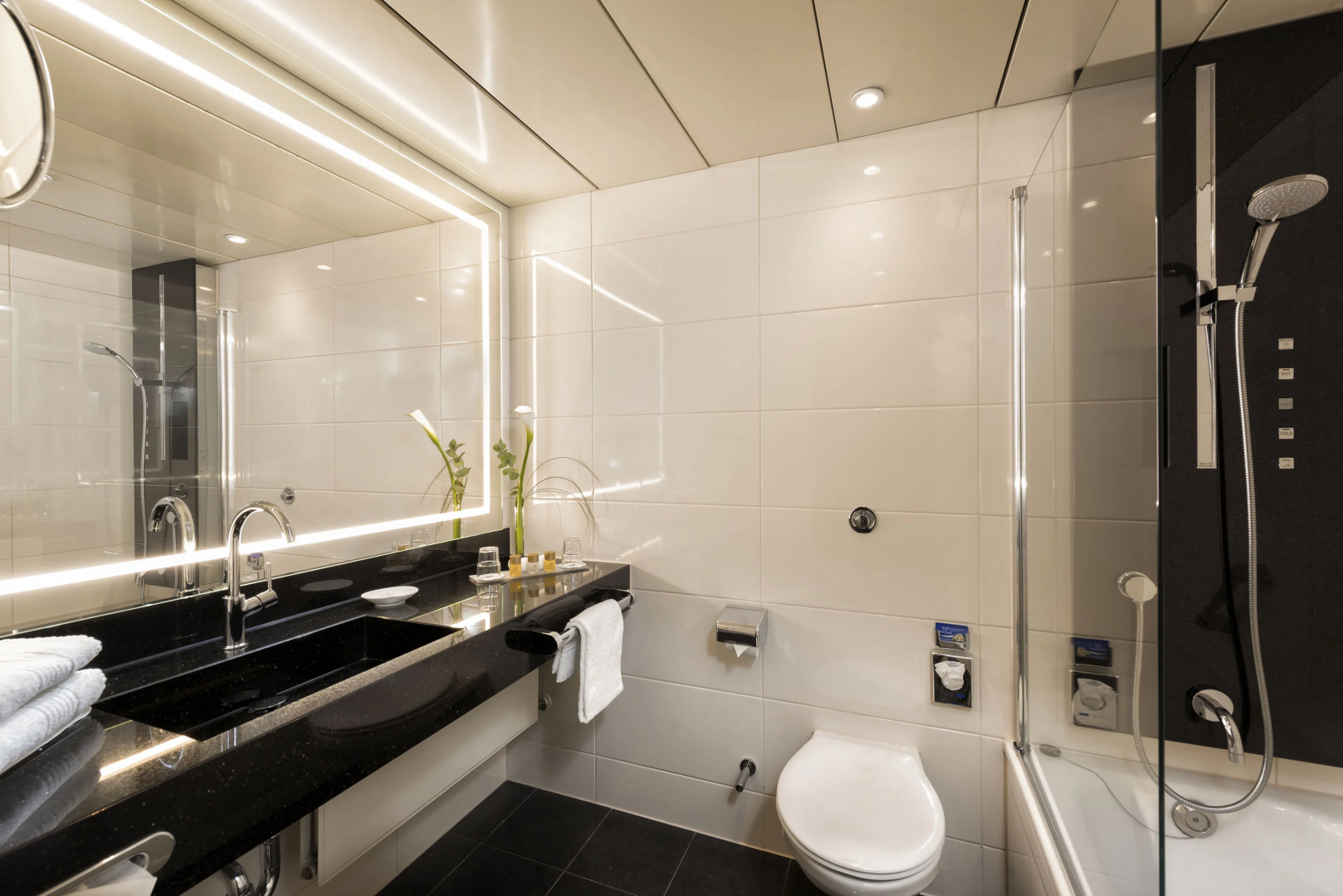 Photo - Maritim Hotel Bonn