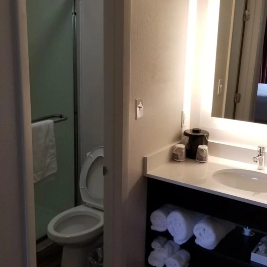 Foto - Hotel South Tampa & Suites