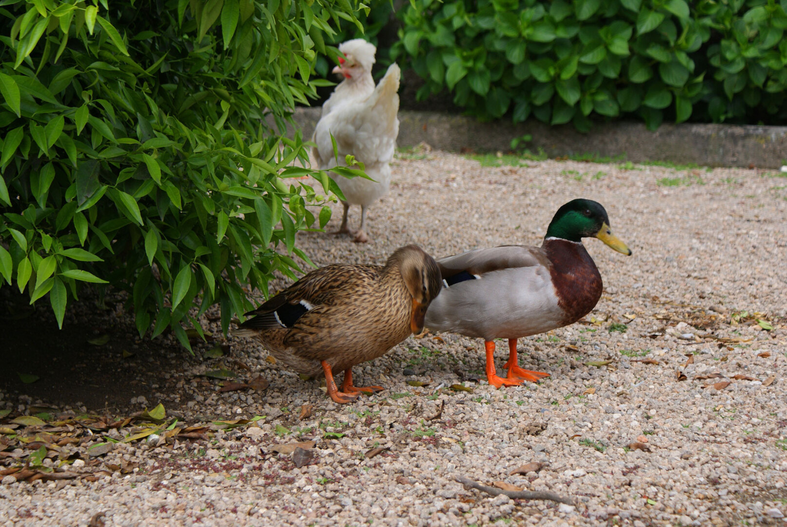 Photo - Casa Dos Pombais
