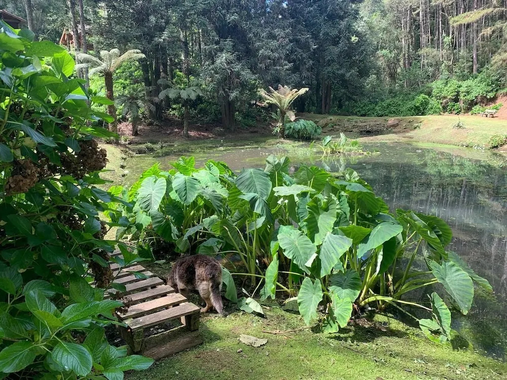 Photo - Chalets do Vale