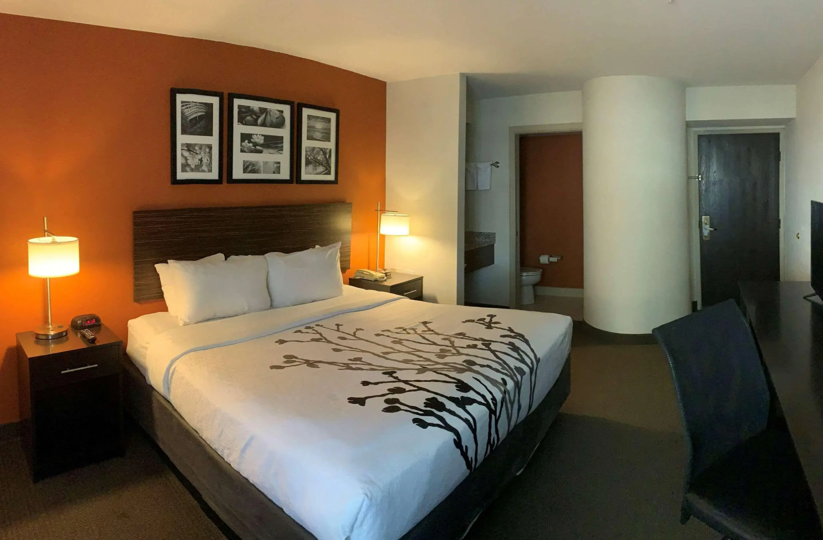 Foto - Sleep Inn Phoenix North I-17