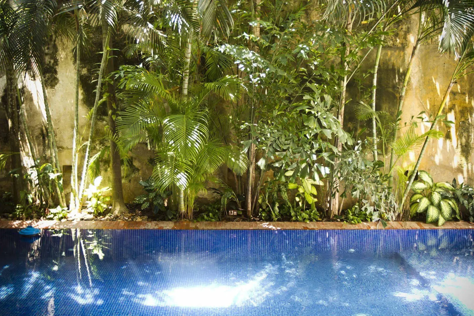 Foto - Hotel Quadrifolio