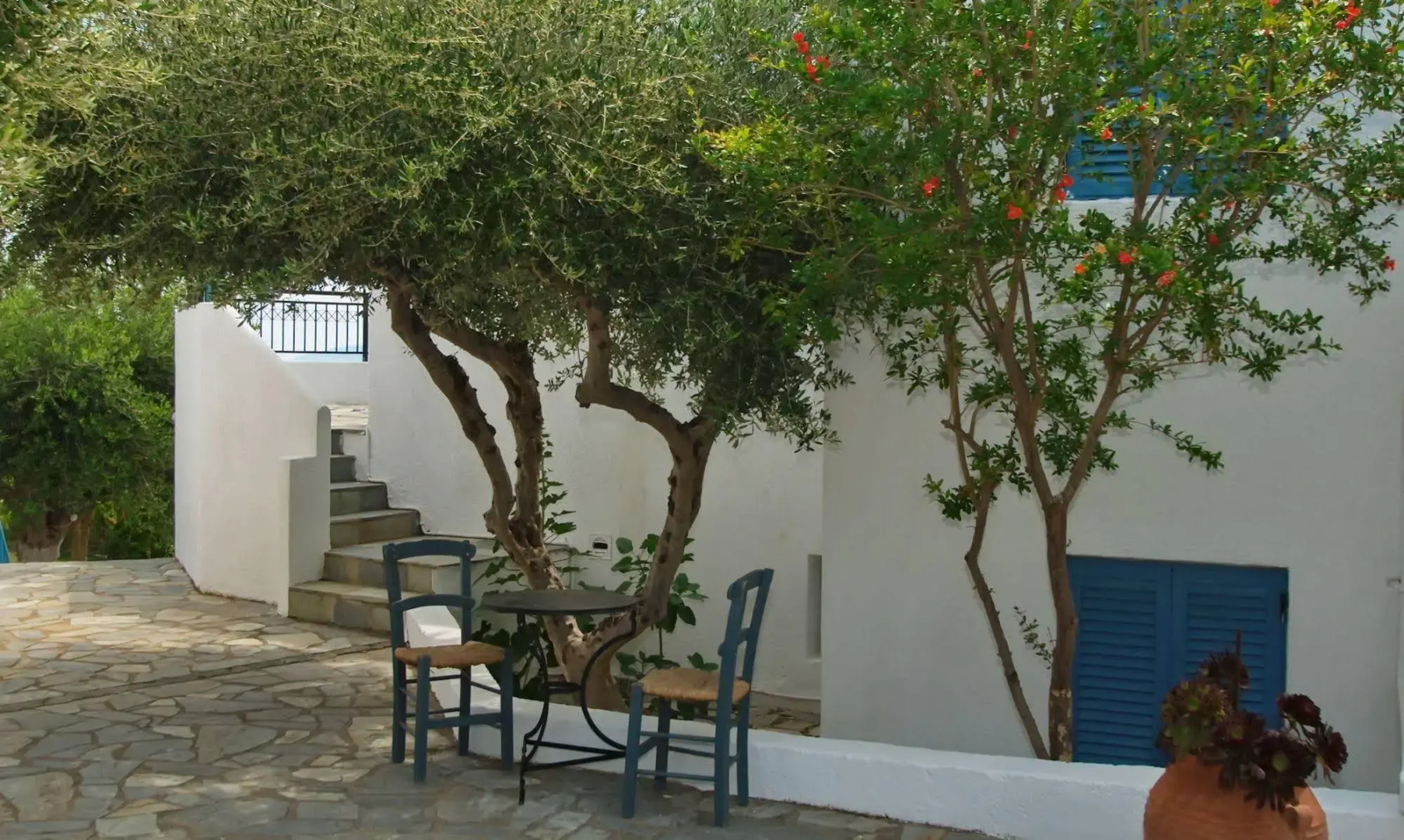 Foto - Palatia Village Hotel Apartments