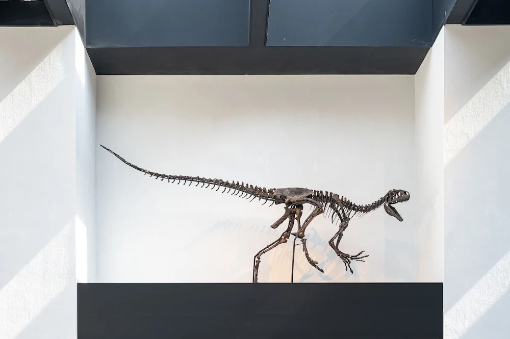 Foto - La Butte aux Bois a Small Luxury Hotel of the World