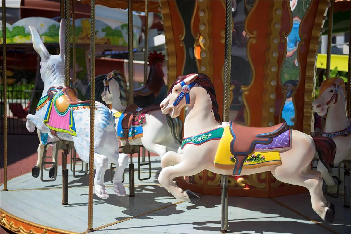 Foto - Delphin Imperial Lara