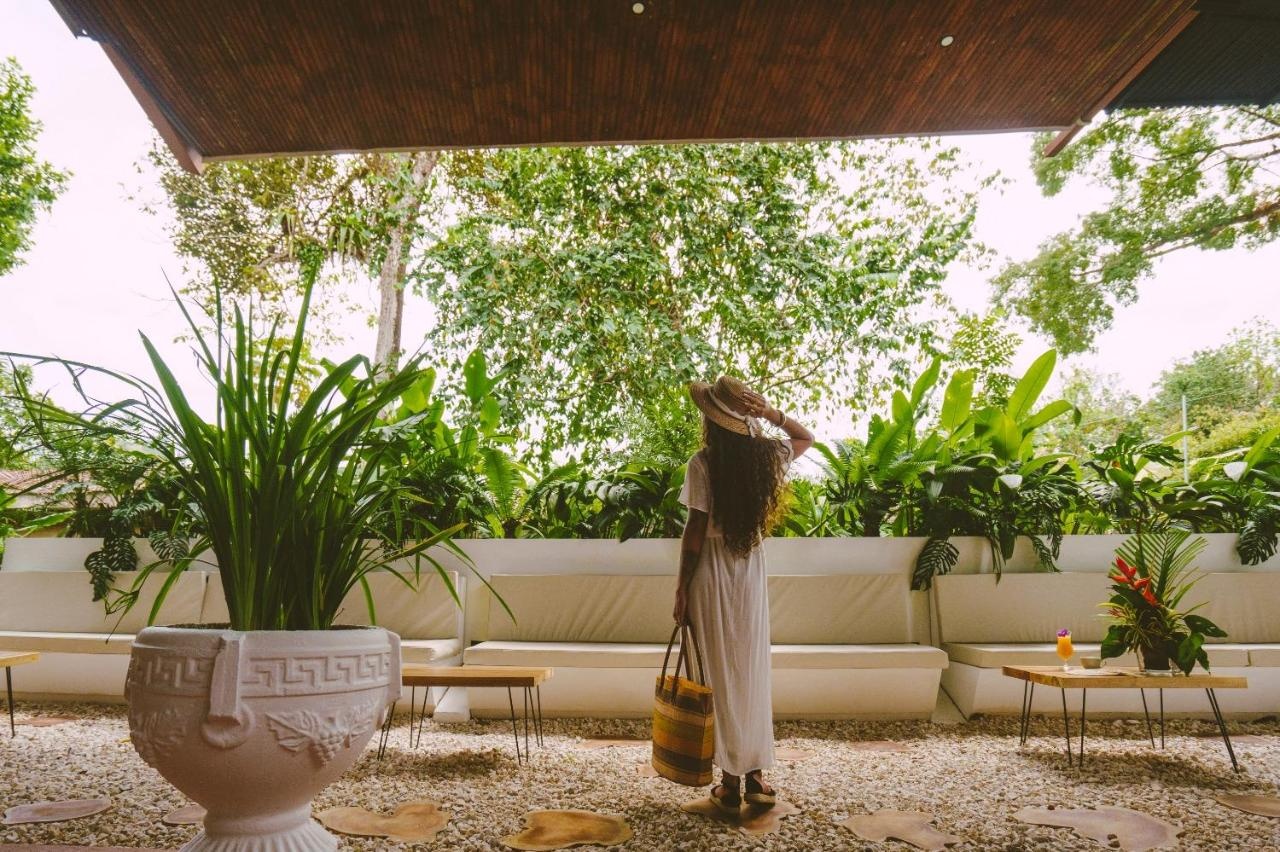 Foto - Hotel Villabosque Eco Boutique