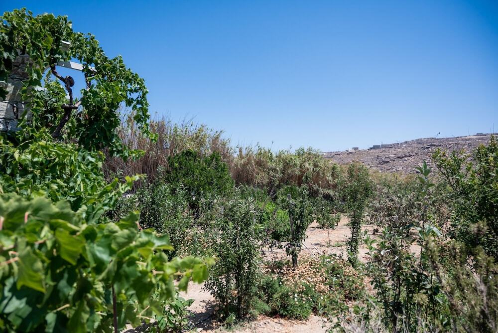 Foto - Spilia Suites Hotel Mykonos