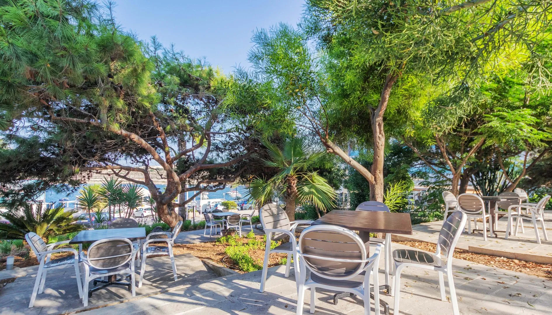 Foto - AX Sunny Coast Resort & Spa