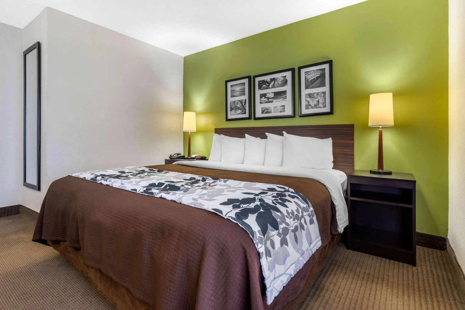 Foto - Sleep Inn near I-80 and I-94