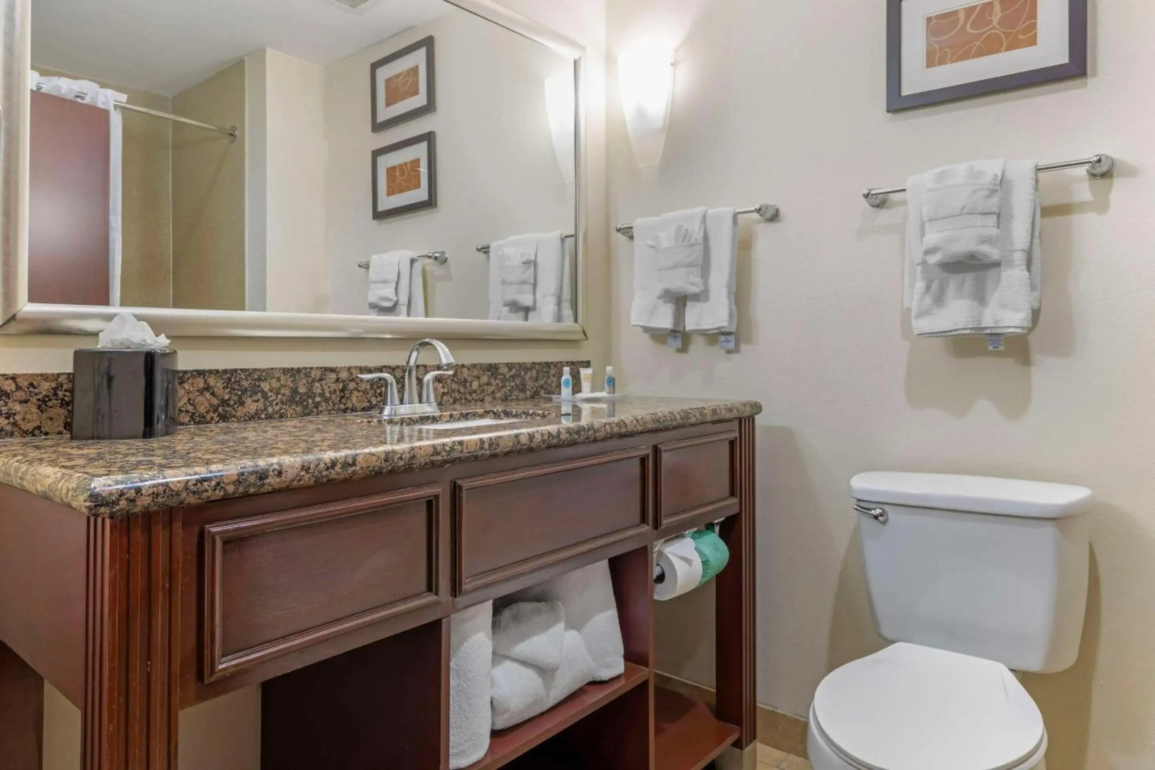 Foto - Comfort Suites West Dallas - Cockrell Hill