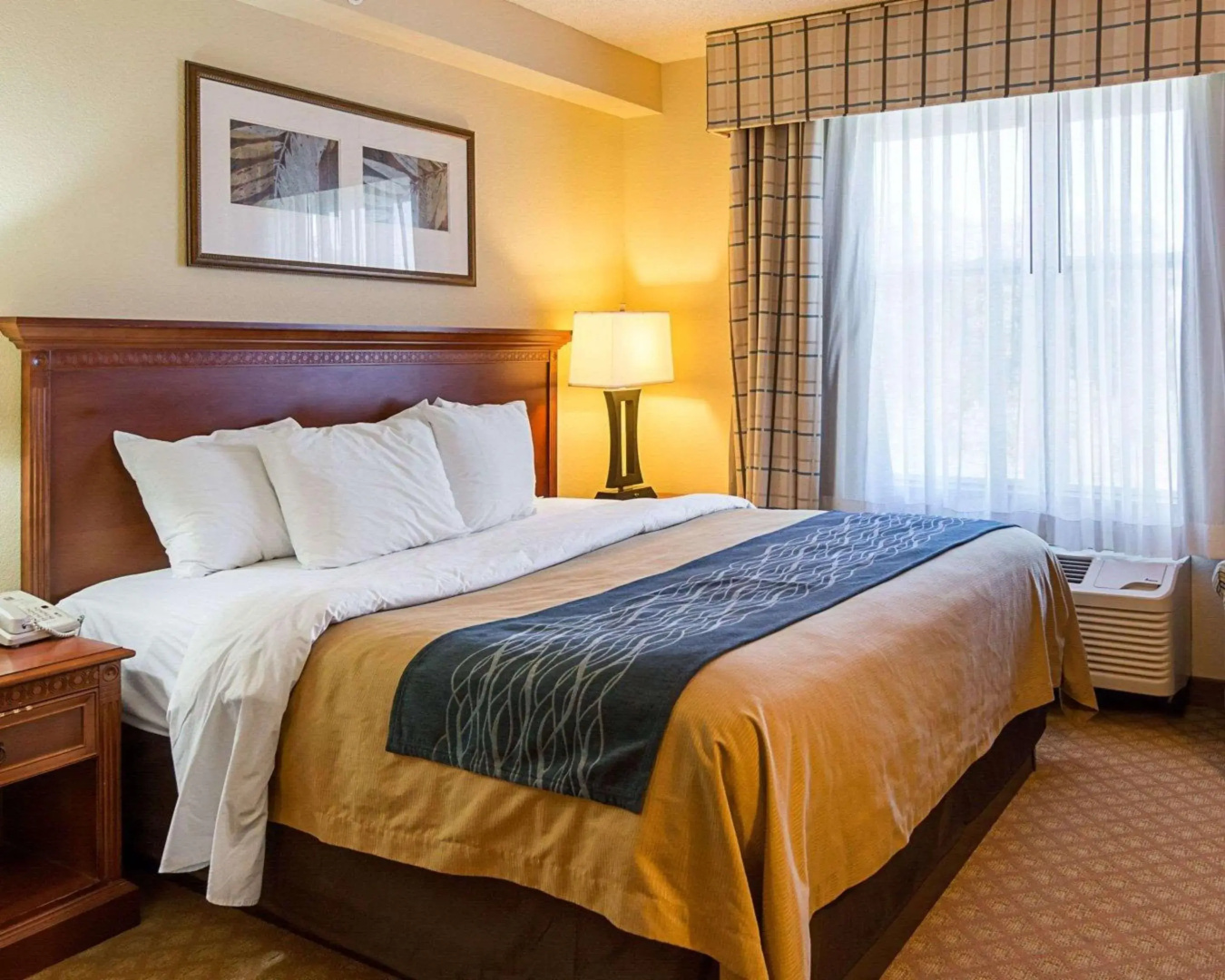 Foto - Comfort Inn & Suites Virginia Beach - Norfolk Airport