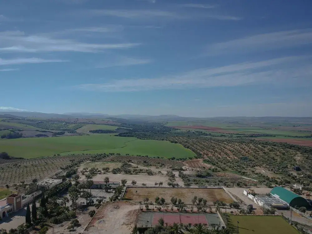 Photo - Hacienda El Rosalejo