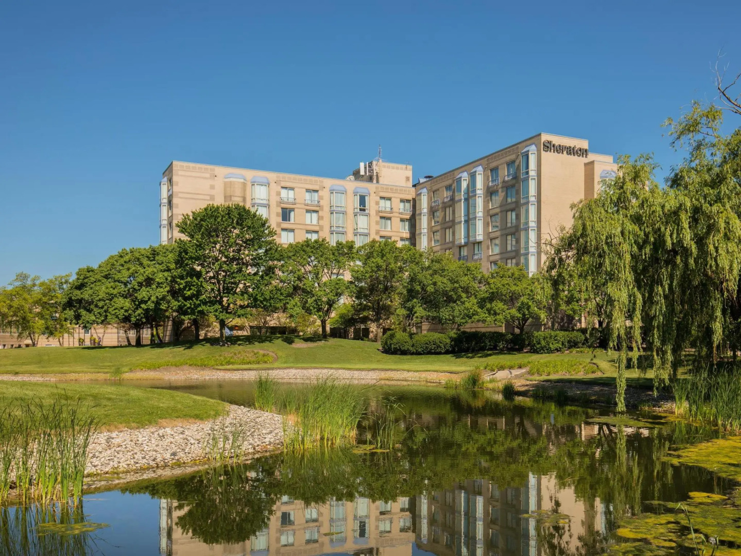 Foto - Sheraton Suites Chicago Elk Grove