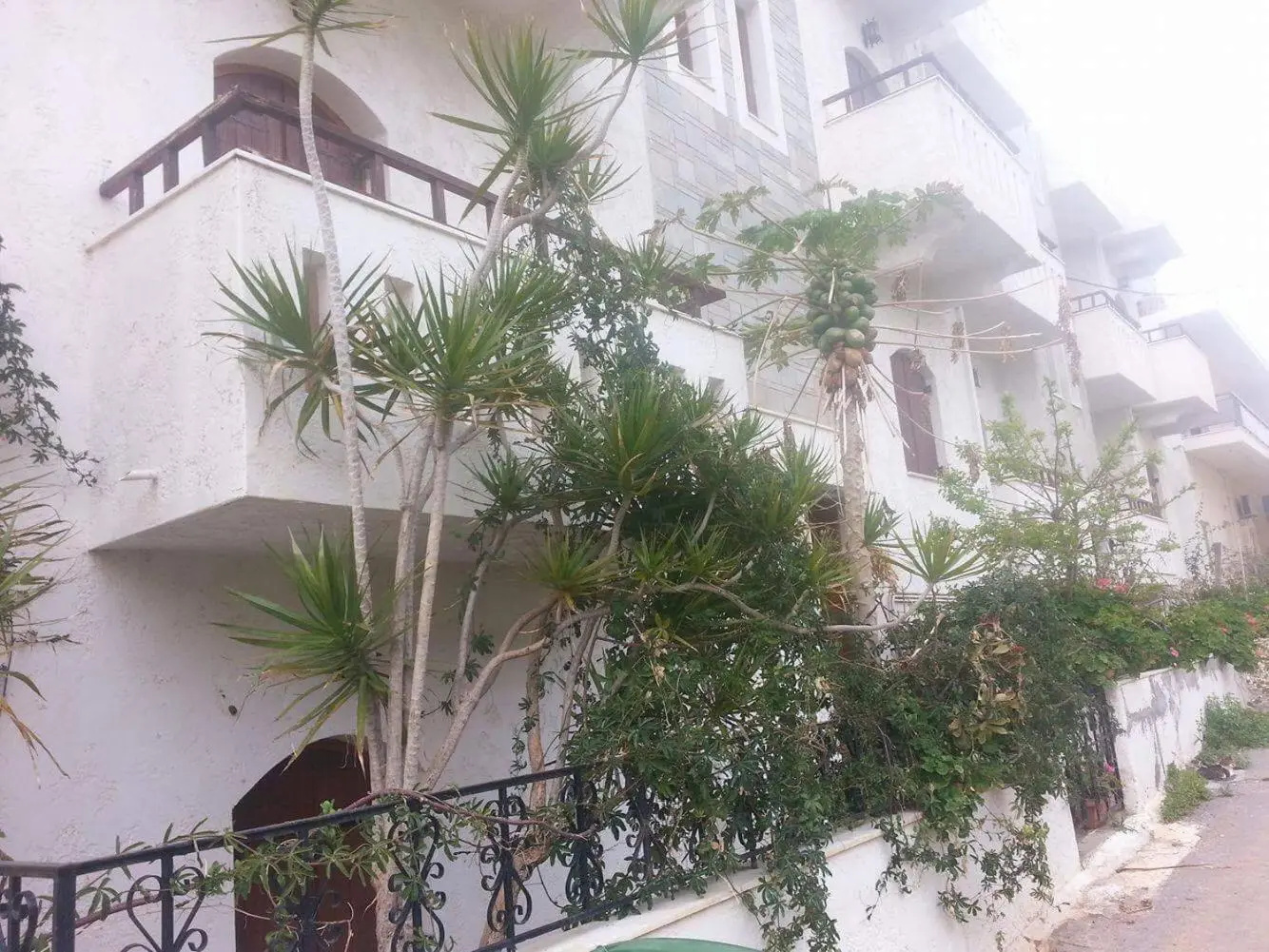 Foto - Irene Apartments