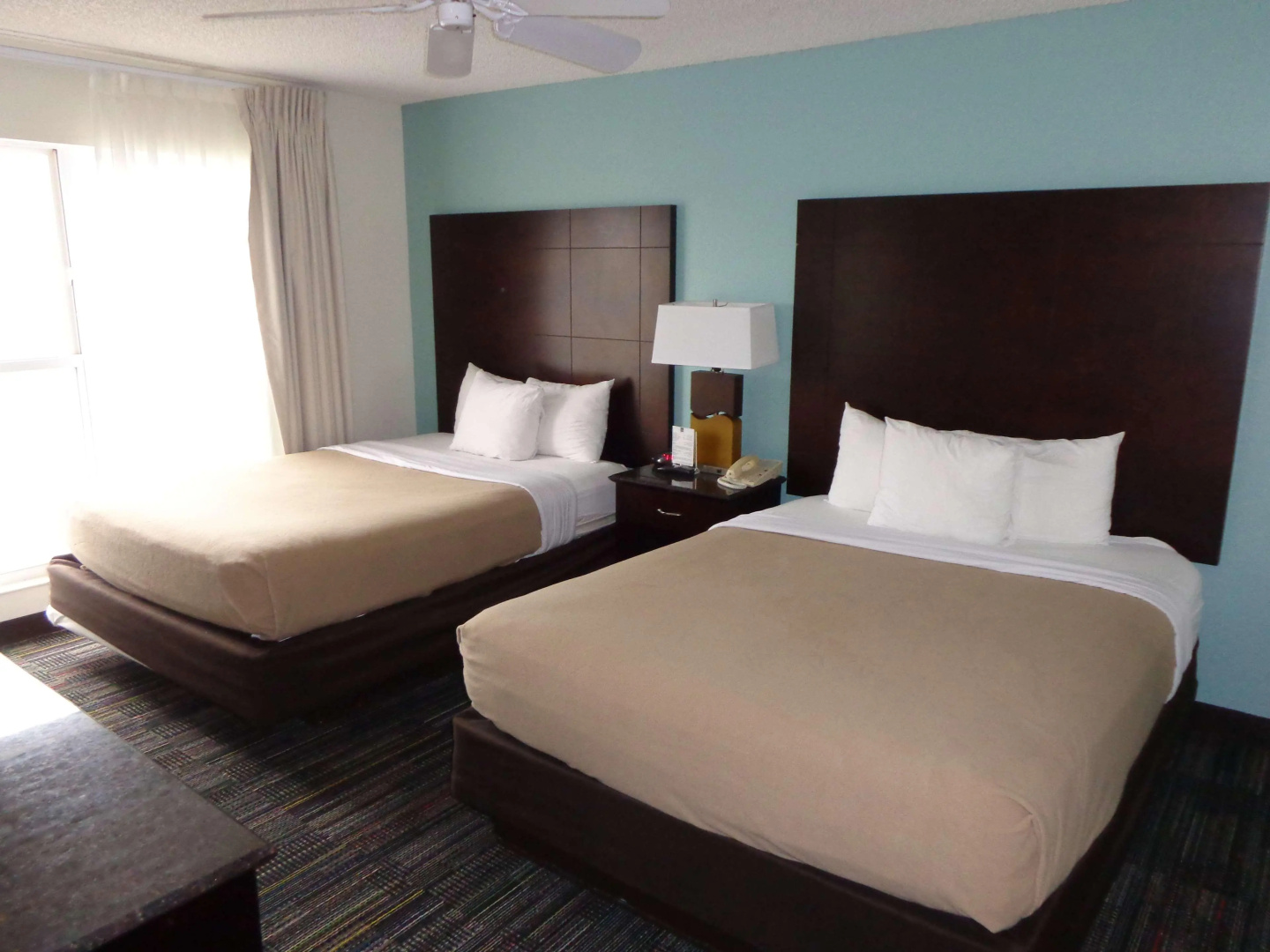 Foto - MONTREAL SUITES ORLANDO by IHG
