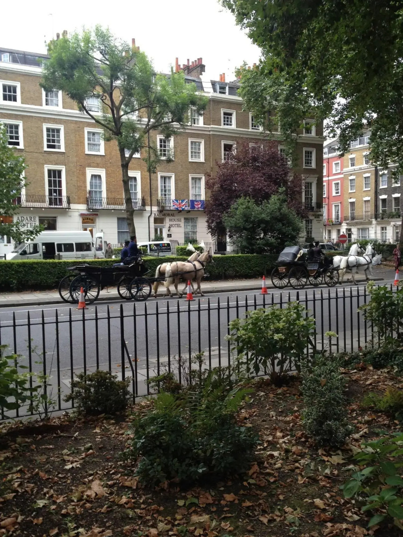 Foto - Balmoral House Hotel