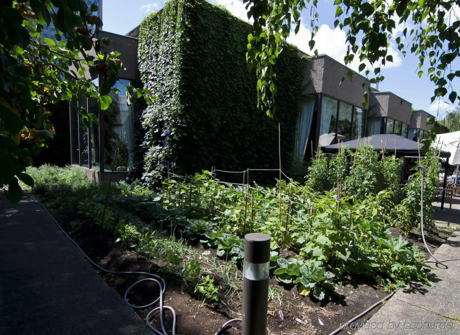 Photo - Hotel Bonaventure Montreal