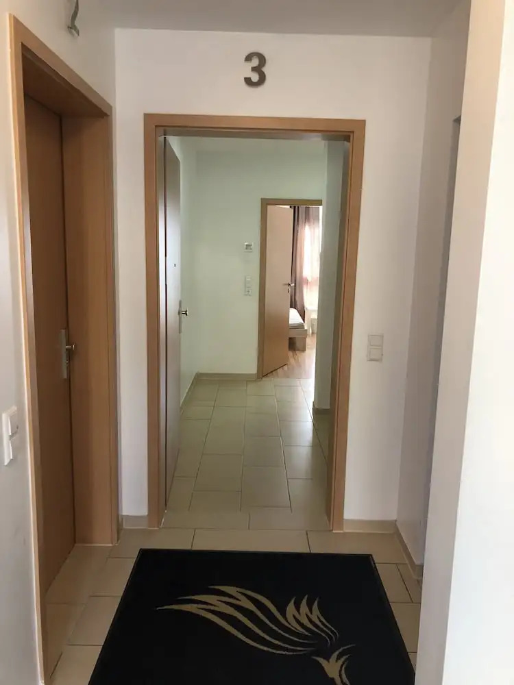 Photo - Sahara Falcon