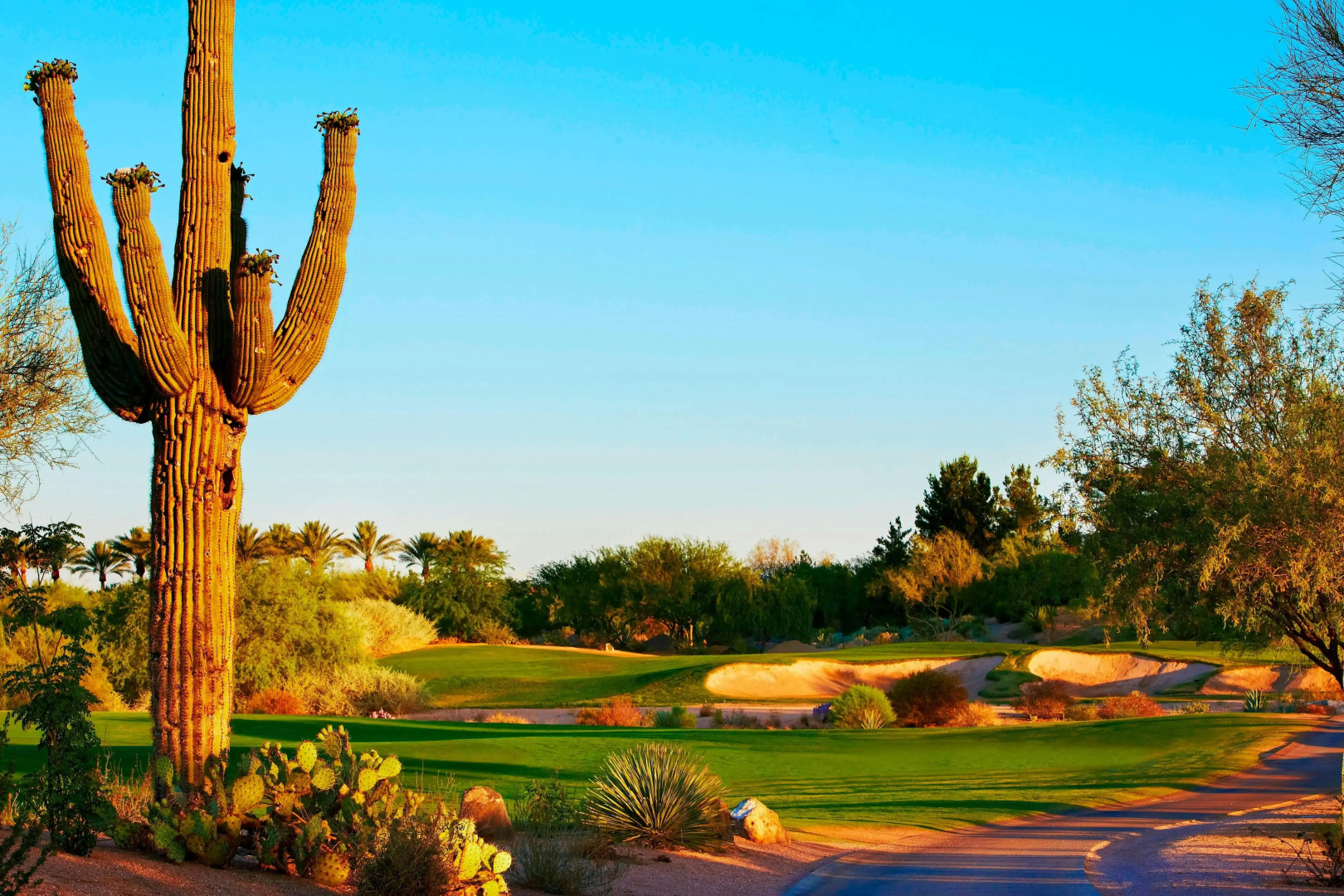 Photo - JW Marriott Phoenix Desert Ridge Resort & Spa