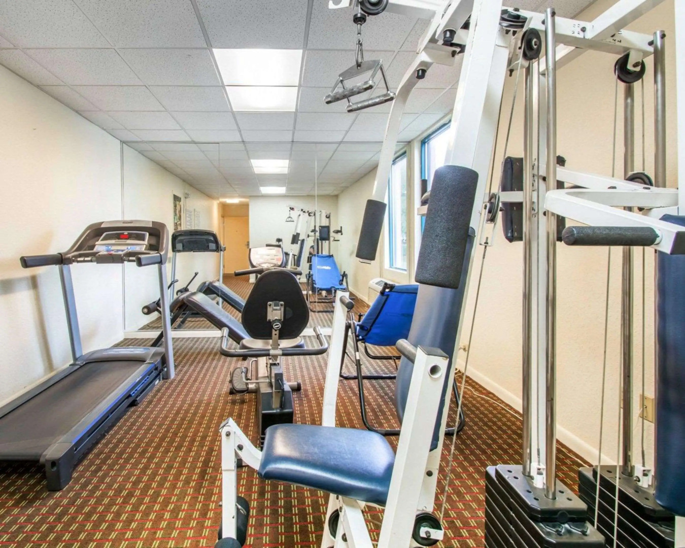 Foto - Rodeway Inn Wesley Chapel