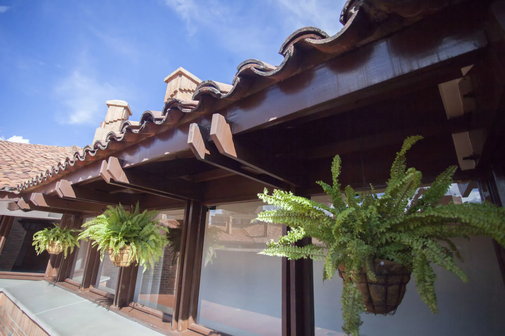 Foto - Cora 127 Plenitud