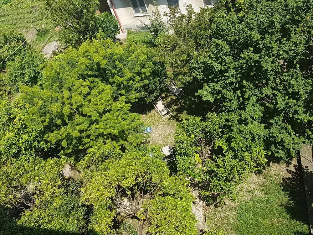 Photo - Il Giardino Di Vico Neve