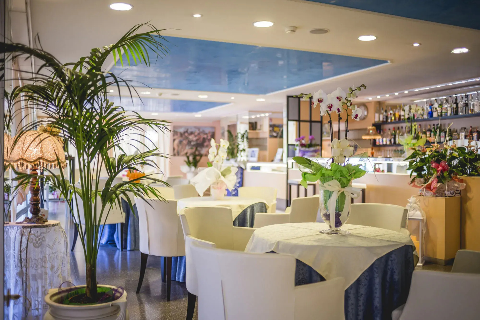 Photo - Hotel Raffaello
