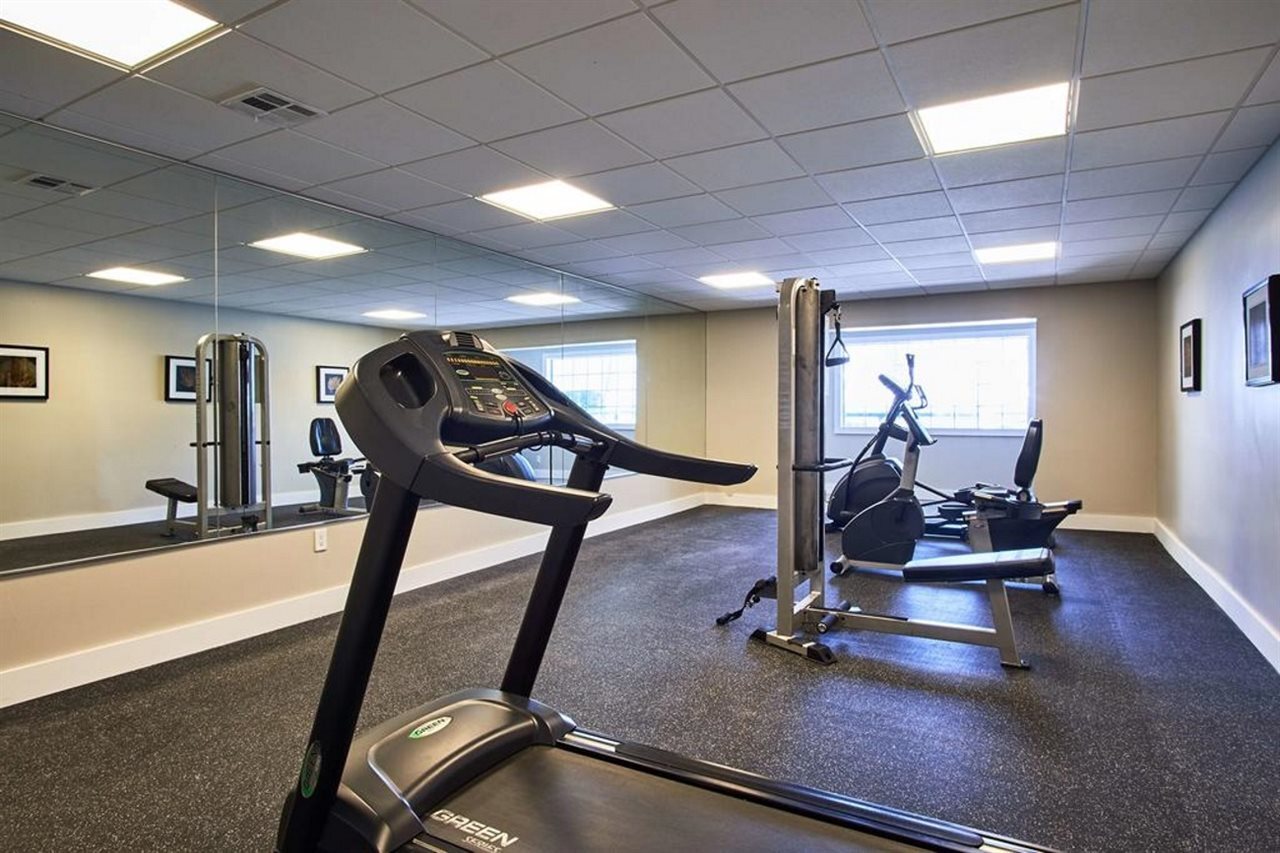 Foto - Palm Tree Club Miami