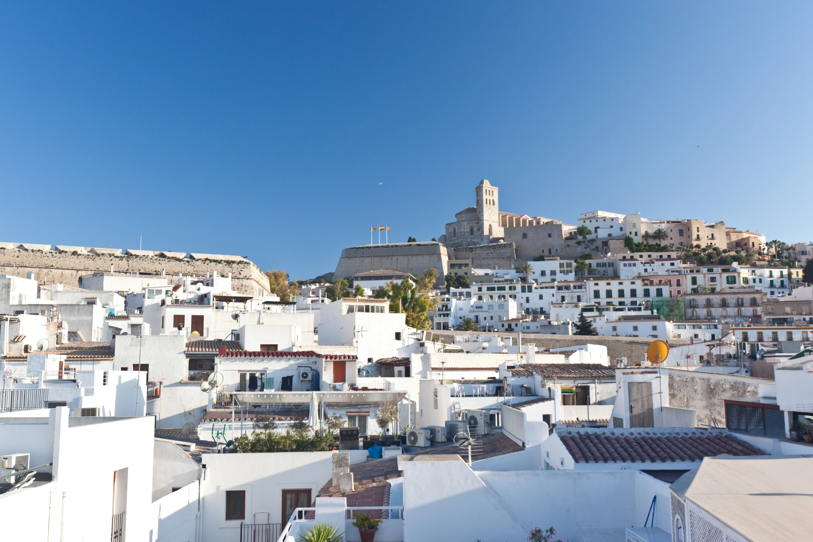 Photo - Ryans La Marina