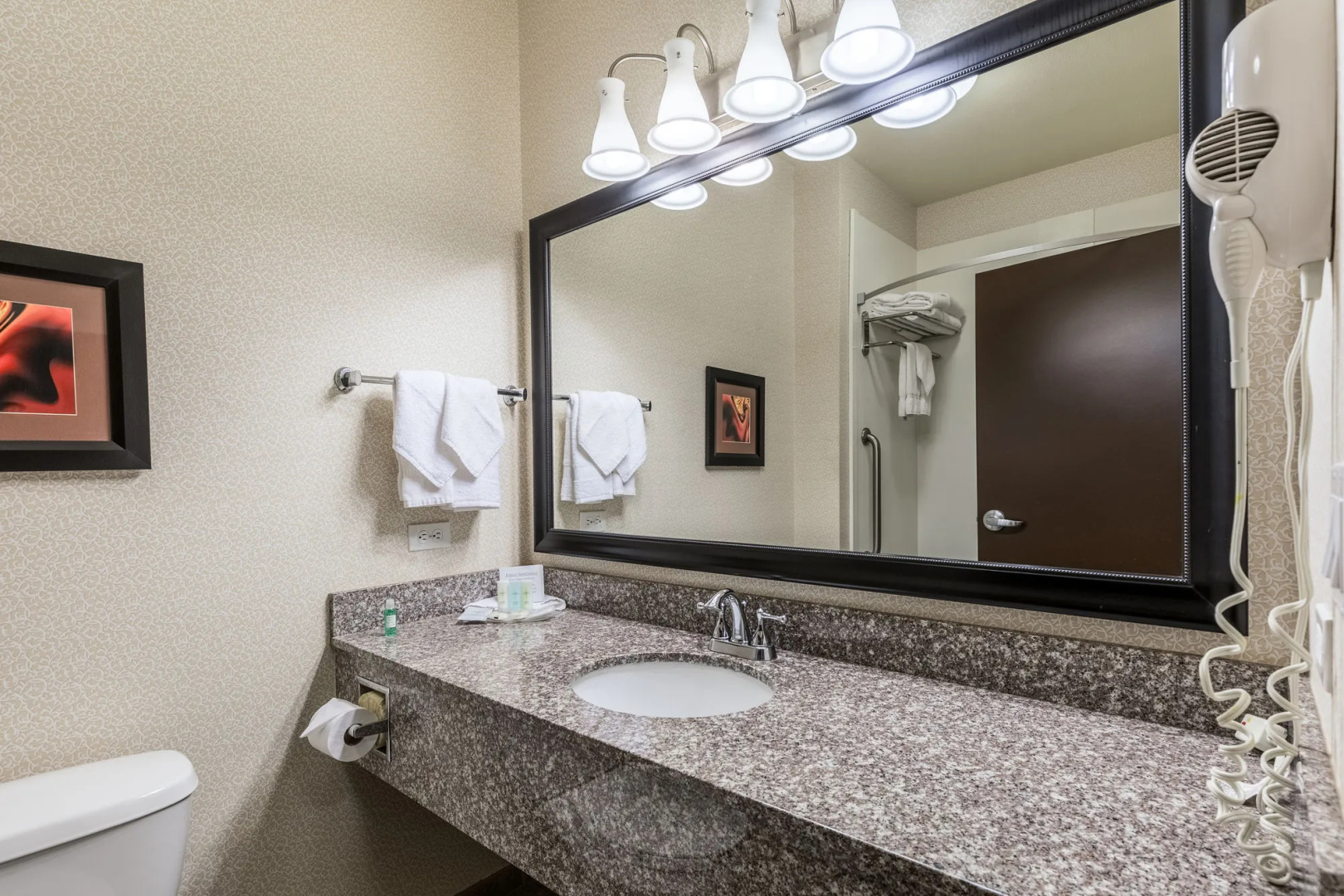 Foto - Comfort Suites Alexandria North