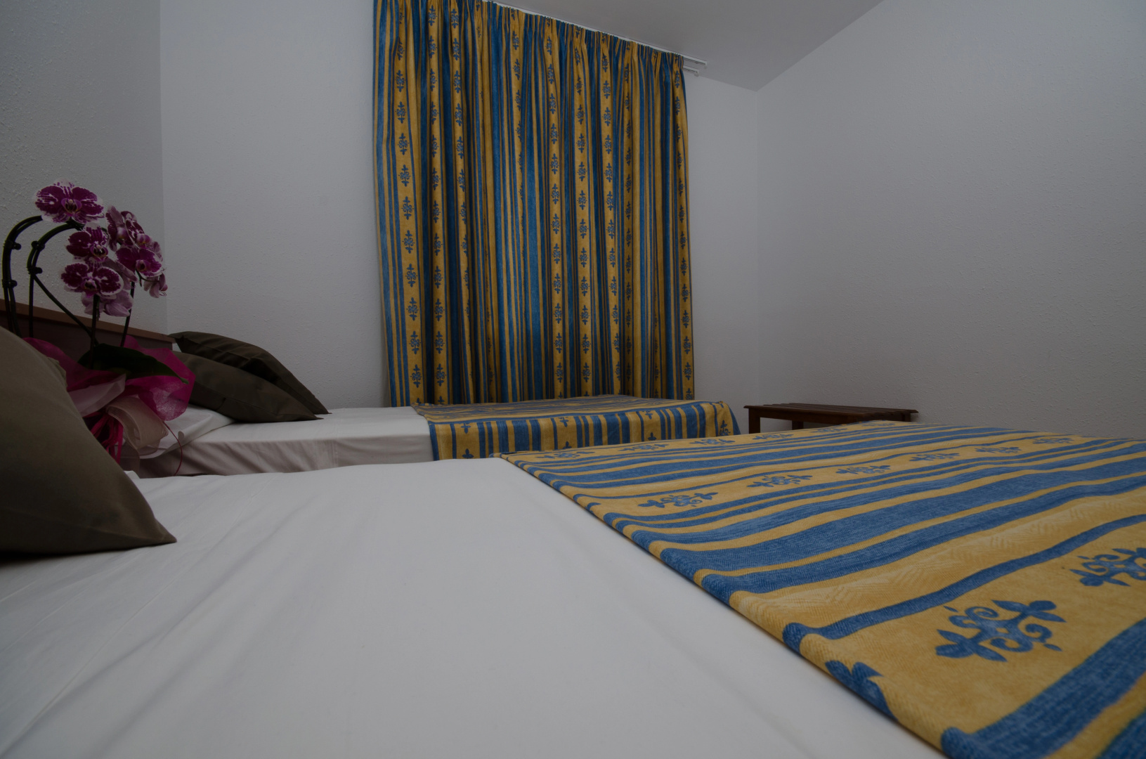 Foto - Apartaments Els Llorers