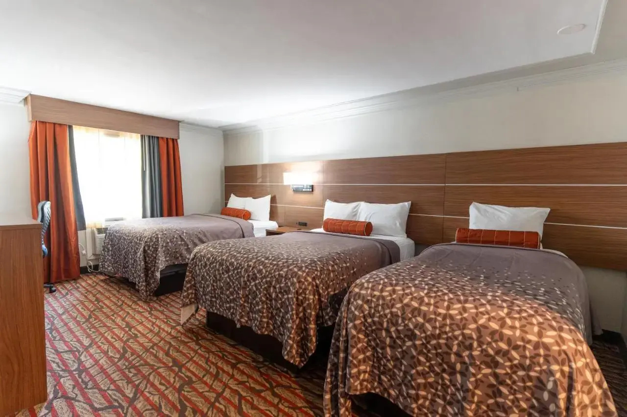 Photo - Kalika Hotel