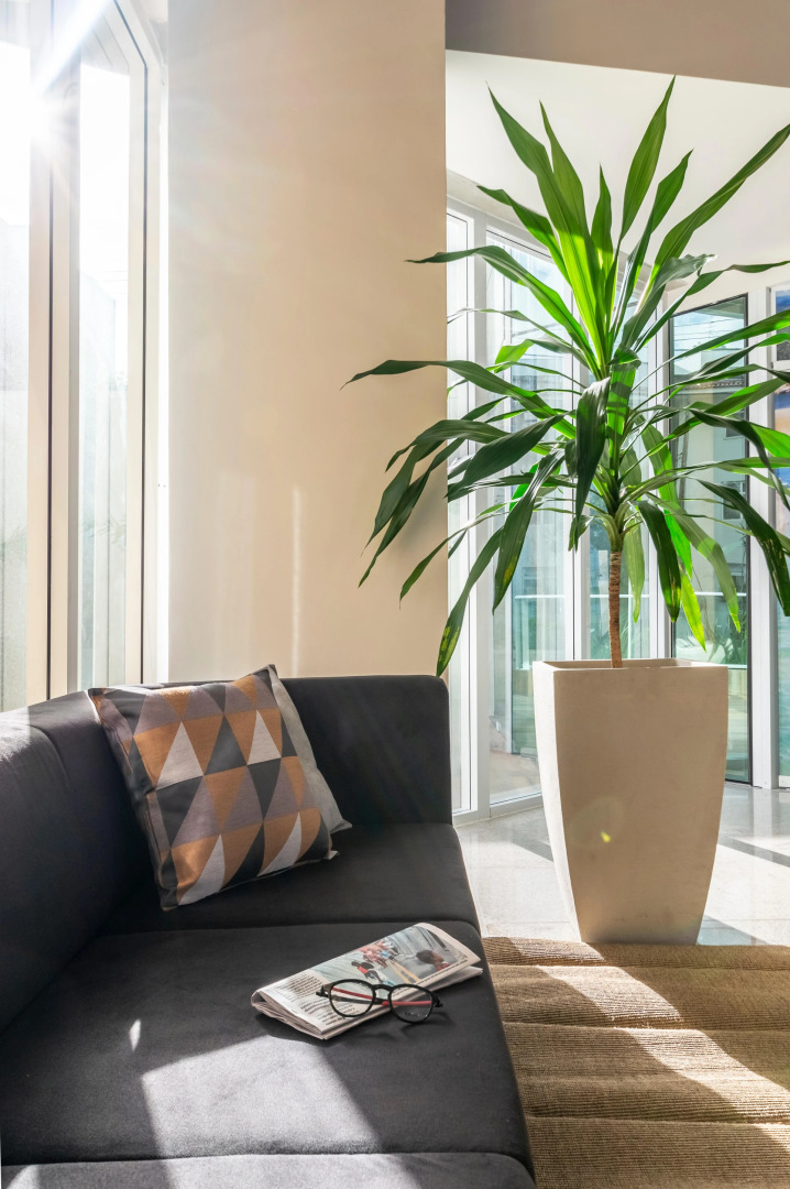 Photo - Intercity Maceio