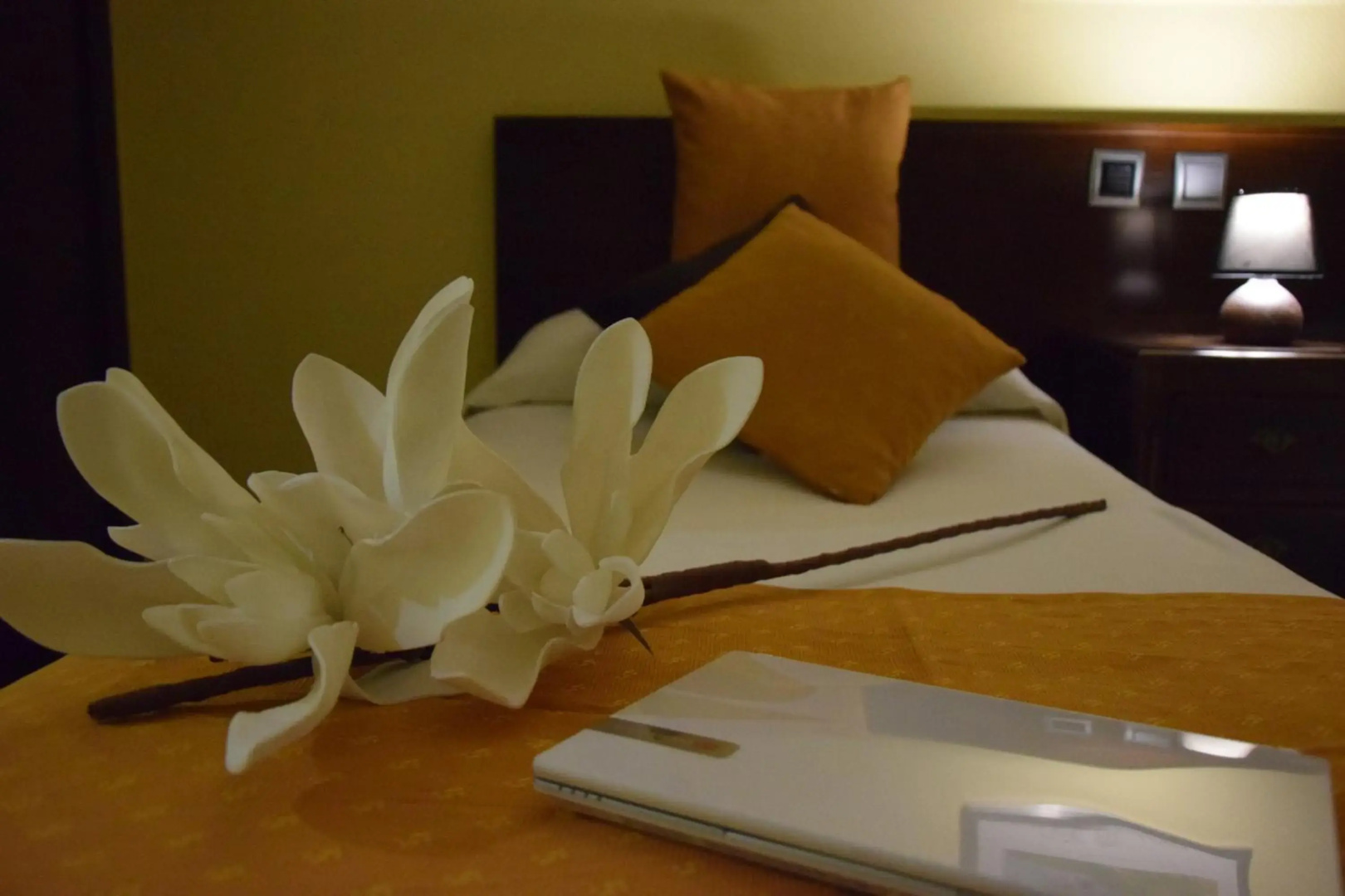 Foto - Hotel Complutense