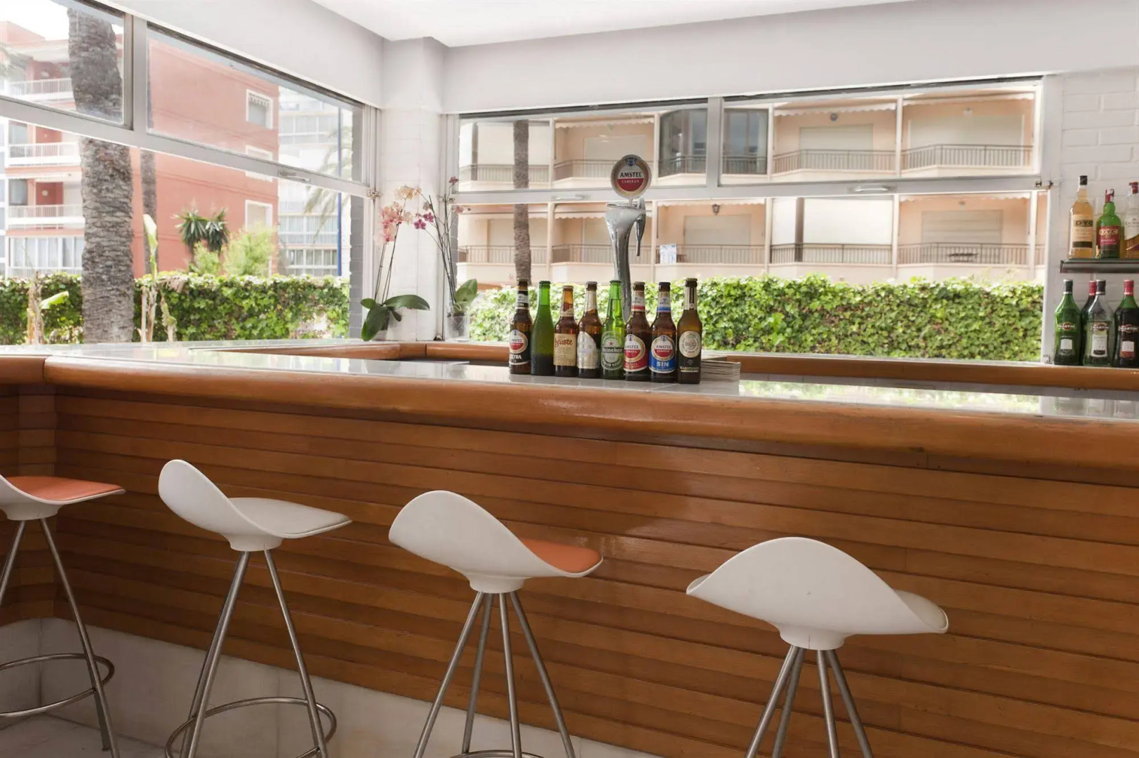 Foto - Hotel El Palmeral