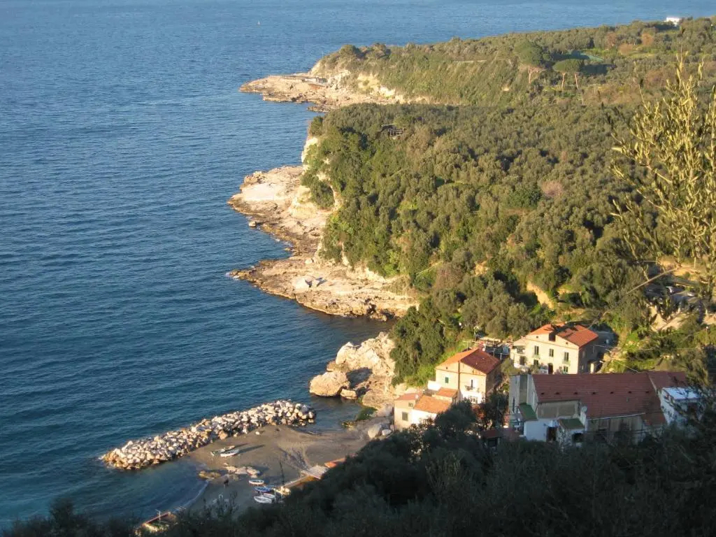Foto - Hotel Villa Igea
