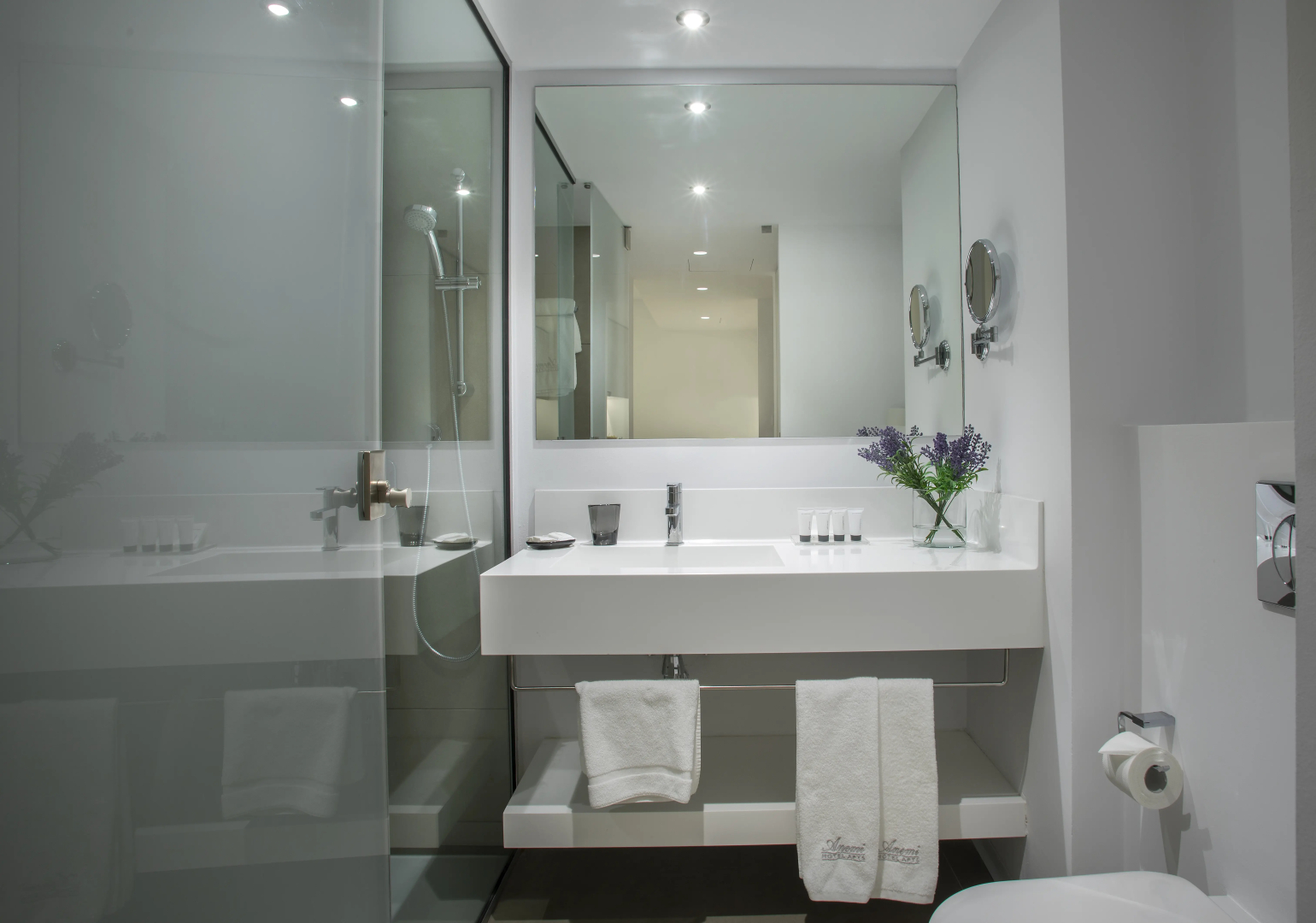 Foto - Anemi Hotel & Suites