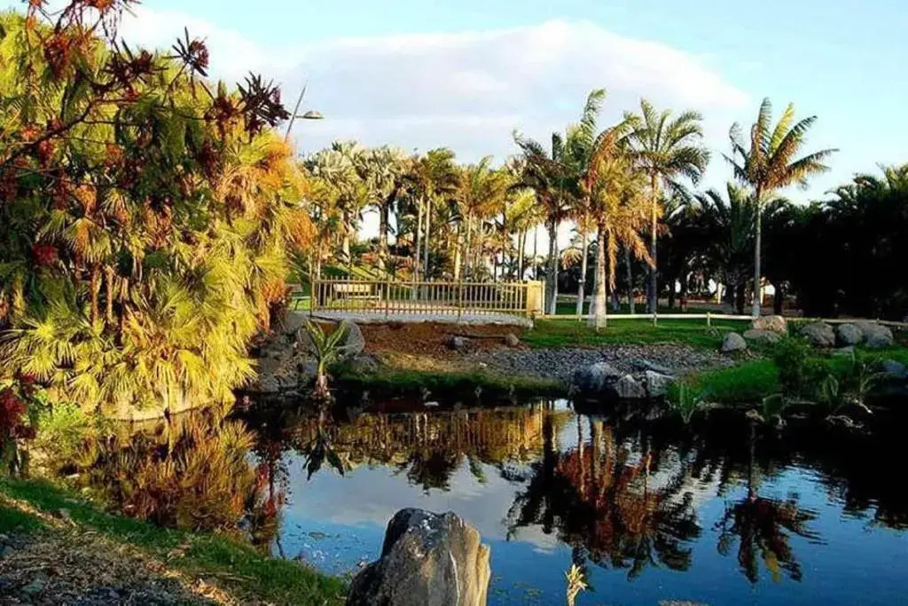 Foto - Hotel Atlántico Centro