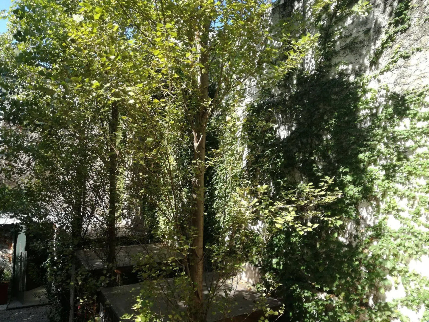 Foto - Feel Buenos Aires Apartments