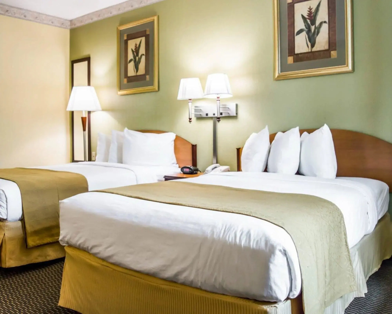 Foto - Quality Inn Tampa Airport - Cruise Port