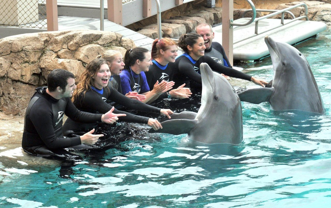 Foto - Homewood Suites by Hilton San Diego Mission Valley/Zoo