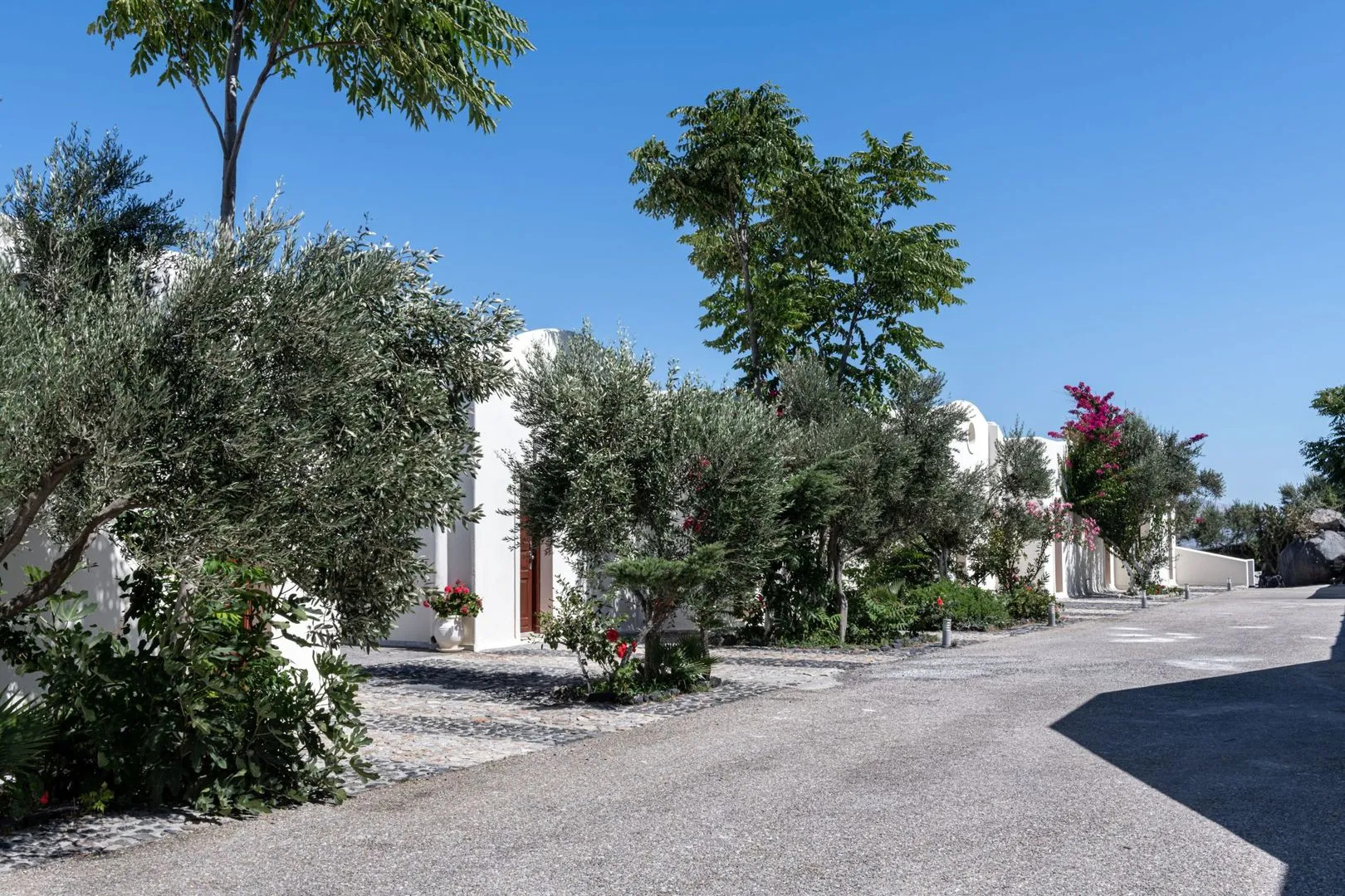 Photo - Splendour Hotel and Suites