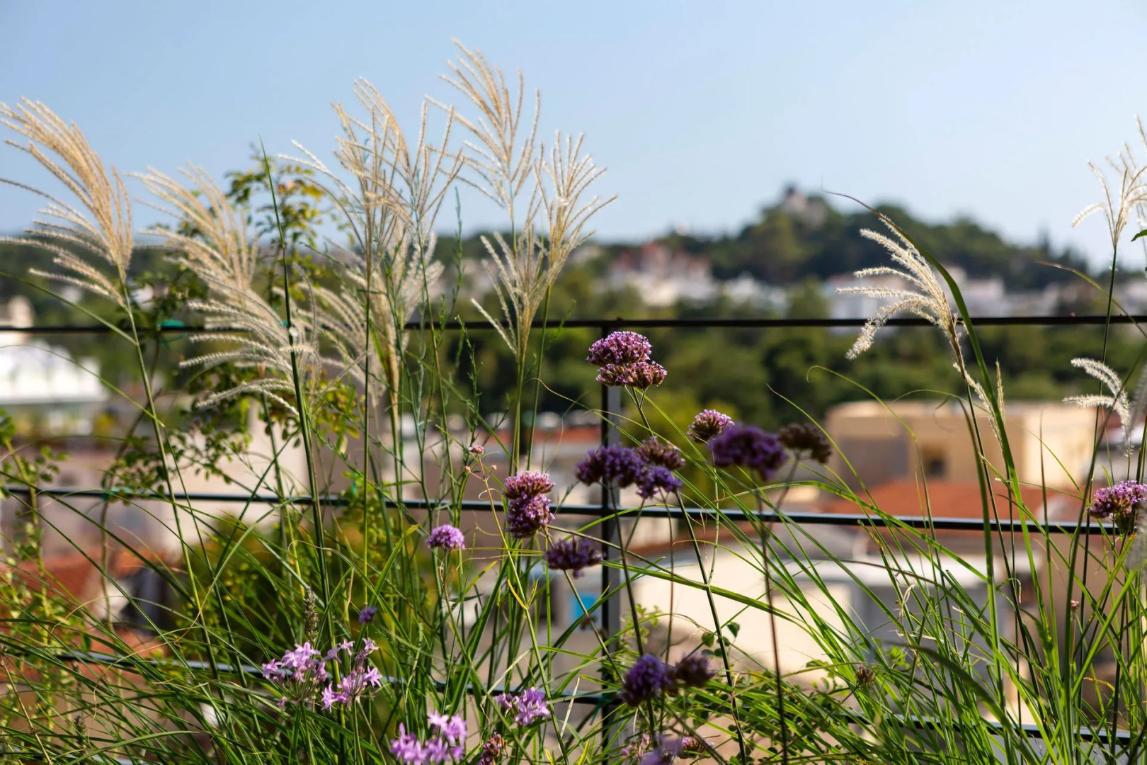 Foto - The Foundry Suites