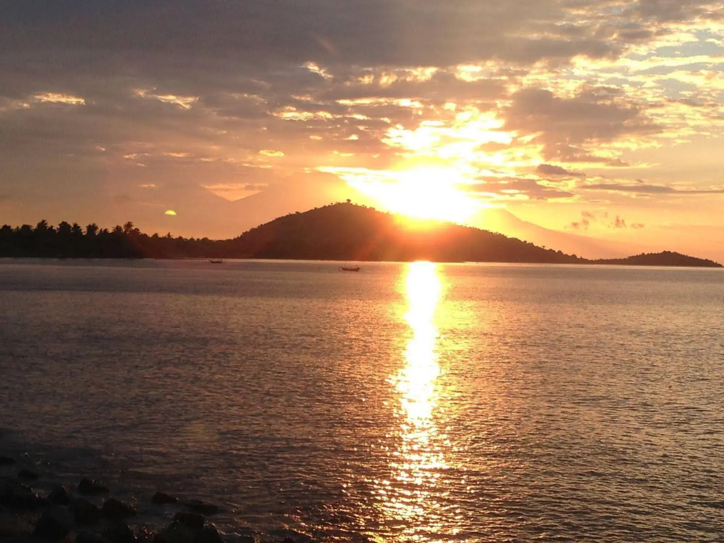 Foto - Biorock Homestay & Dive Center Pemuteran