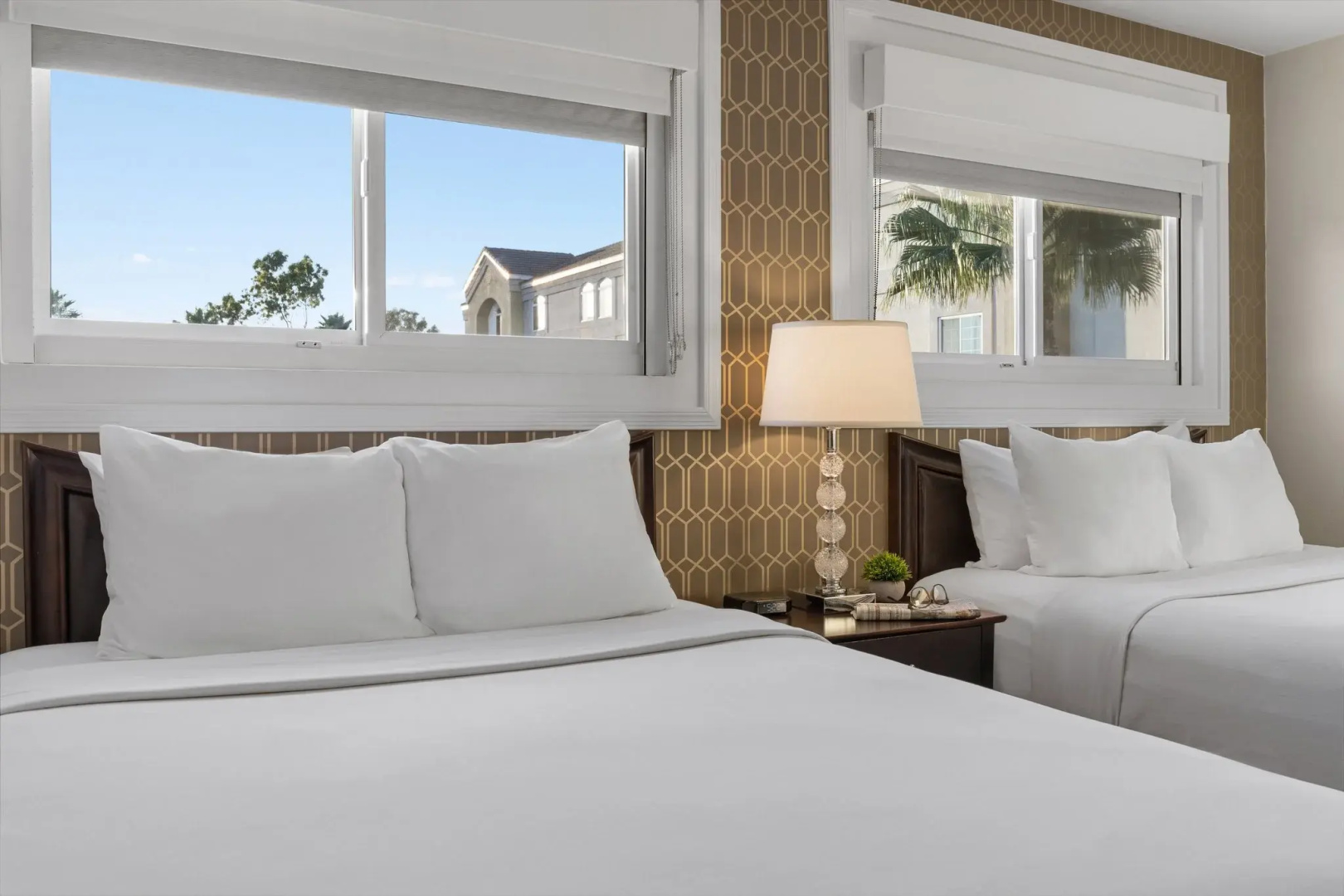 Photo - Peacock Suites