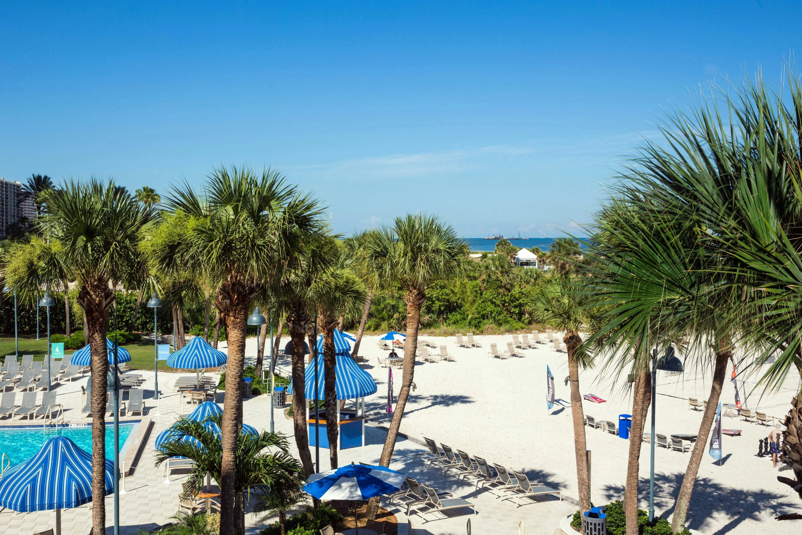 Foto - Clearwater Beach Sheraton Resort on Sand Key