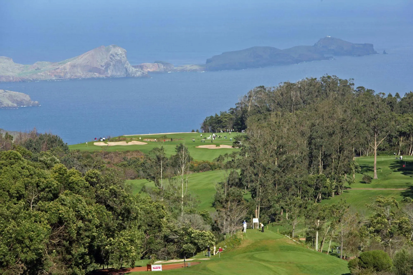 Foto - Quinta Santo Antonio Da Serra