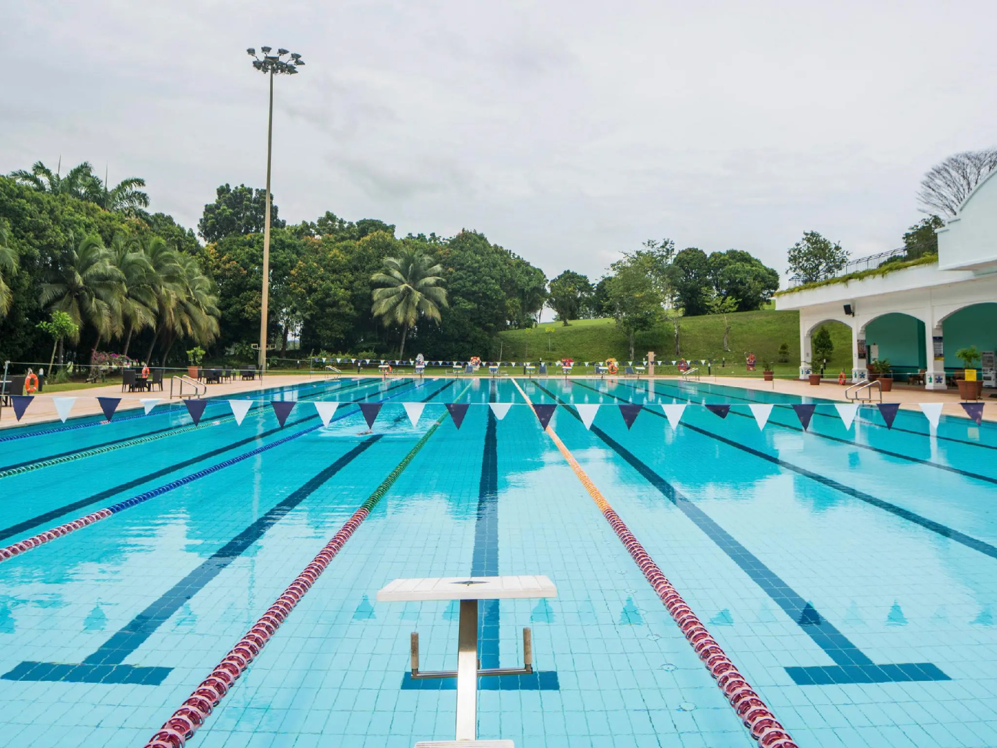 Foto - Orchid Country Club